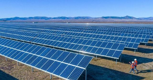 光伏板下的牛羊 沙漠驚變綠色發電農場，光伏發電為何如此強大？